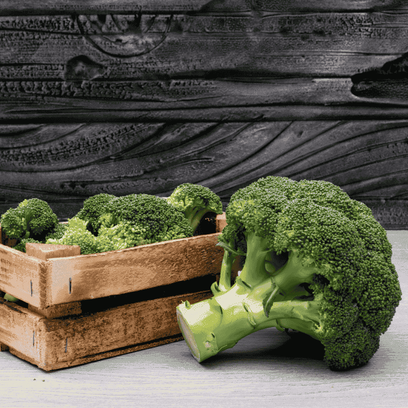 Fresh Organic Broccoli – Nutritious, Crisp & Fresh Green