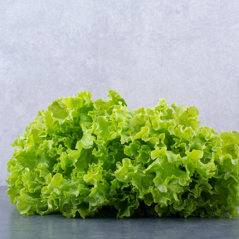 Fresh Crisp Lettuce – Organic, Nutrient-Packed & Refreshing Green