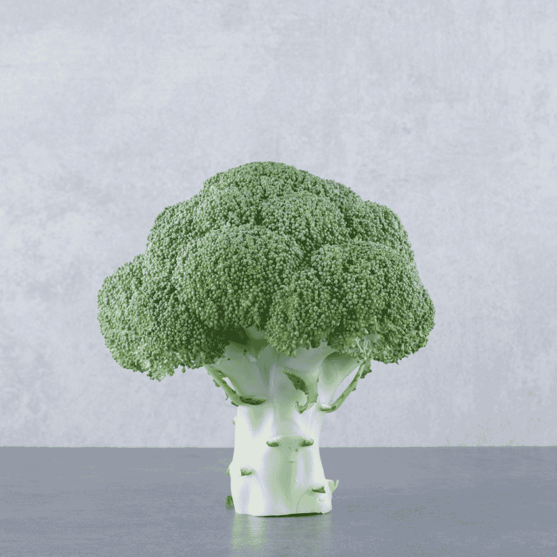 Fresh Organic Broccoli – Nutritious, Crisp & Fresh Green