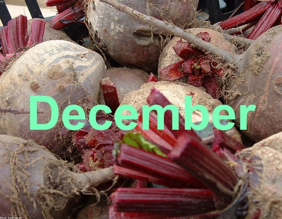 Fresh Beetroot